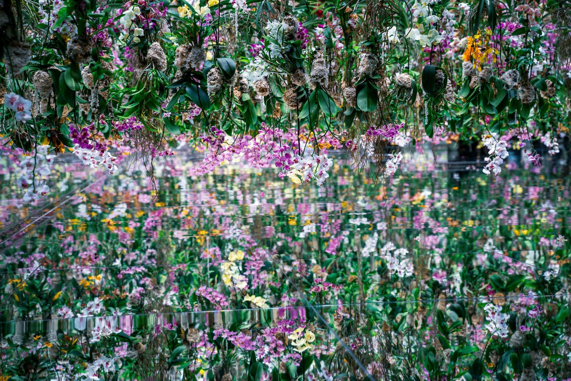 teamLab Planets